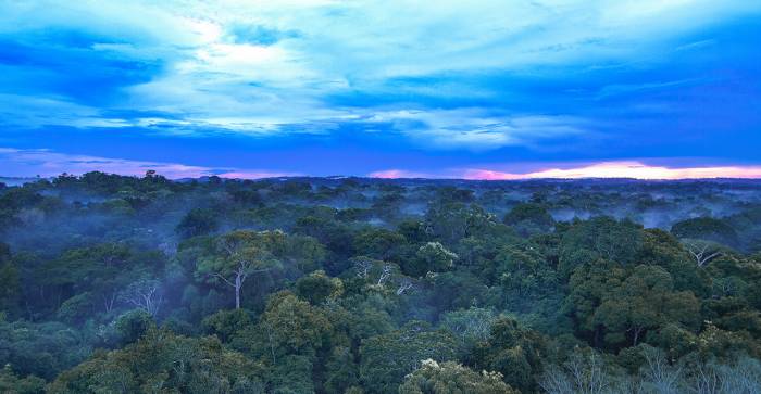 Brazil - Amazon - Luxury Safaris - Bellingham Safaris