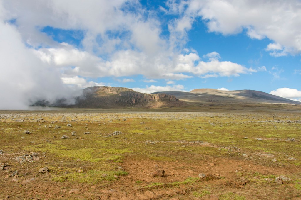 Sanetti-Plateau - Ethiopia Safari