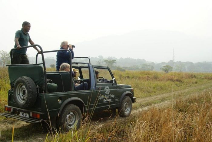 India - Kaziranga - Luxury Safaris - Bellingham Safaris