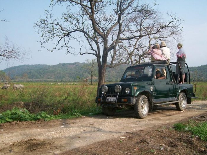 India - Kaziranga - Luxury Safaris - Bellingham Safaris