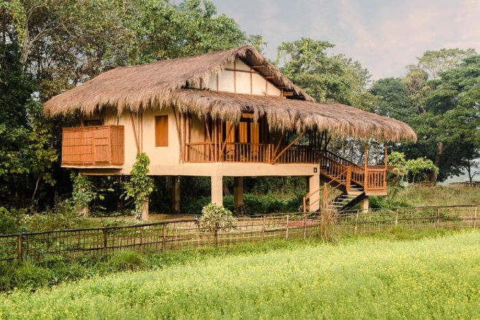 India - Kaziranga - Luxury Safaris - Bellingham Safaris