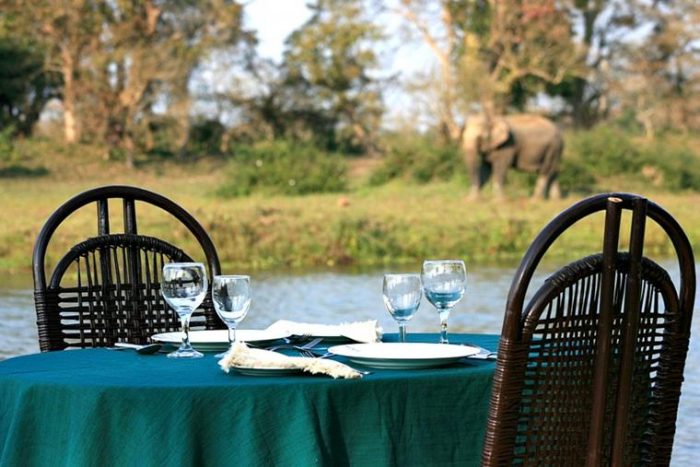 India - Kaziranga - Luxury Safaris - Bellingham Safaris