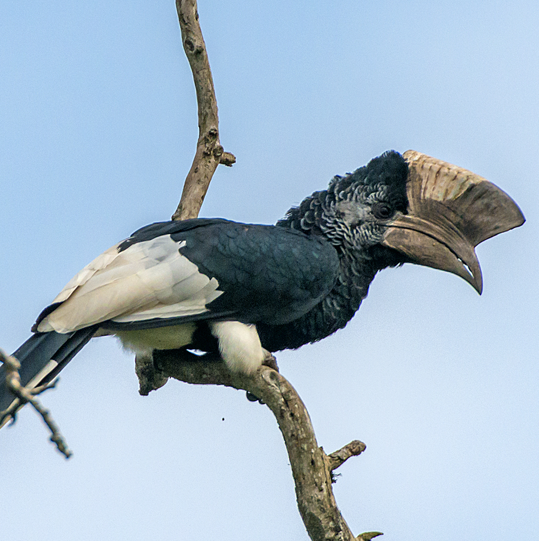 Makgadikgadi National Park (Botswana)