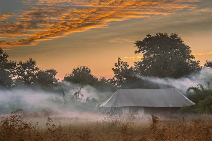 India - Jamtara Wilderness Camp