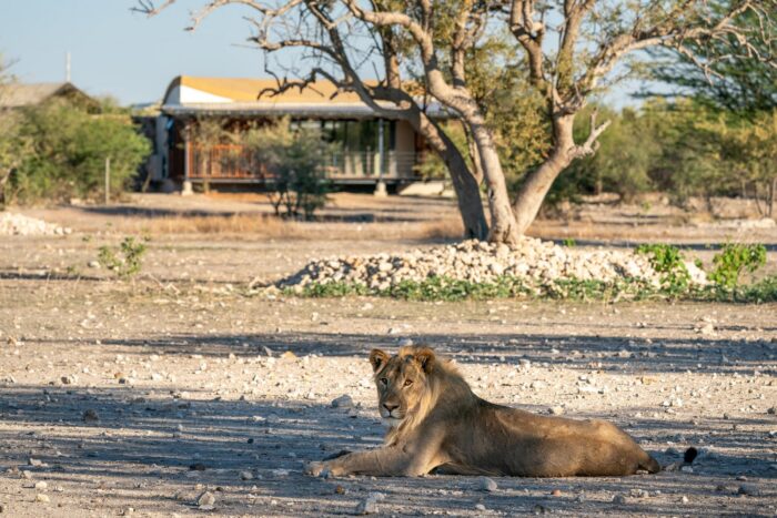 Anderssons lodge at Ongava in Etosha, Namibia