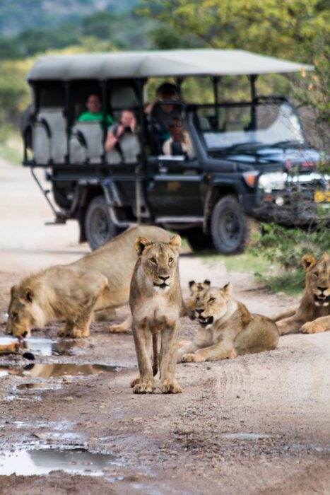 Little Ongava in Etosha, Namibia