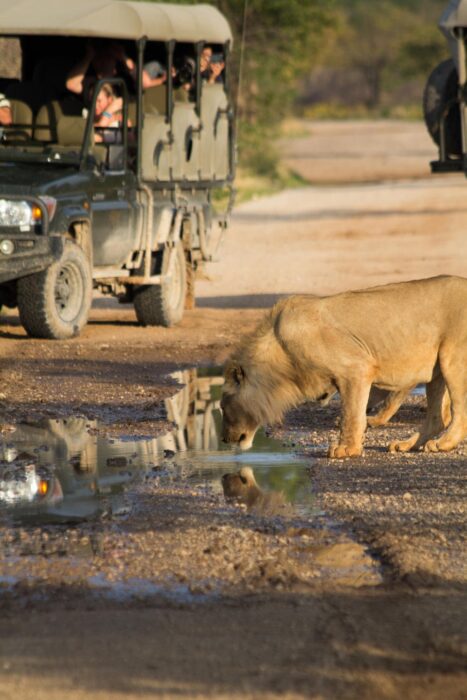 Little Ongava in Etosha, Namibia