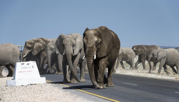 Little Ongava in Etosha, Namibia