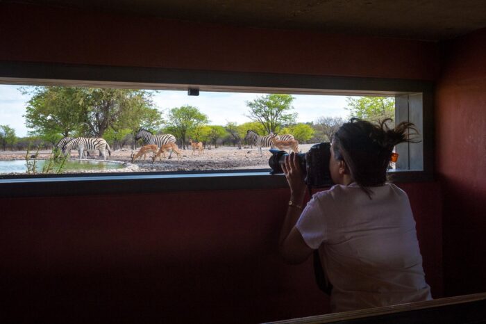 Anderssons lodge at Ongava in Etosha, Namibia