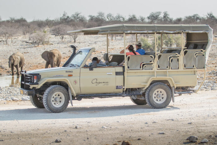 Onguma Camp Kala lodge in Etosha, Namibia