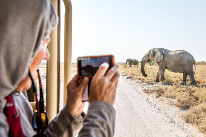 Onguma Camp Kala lodge in Etosha, Namibia