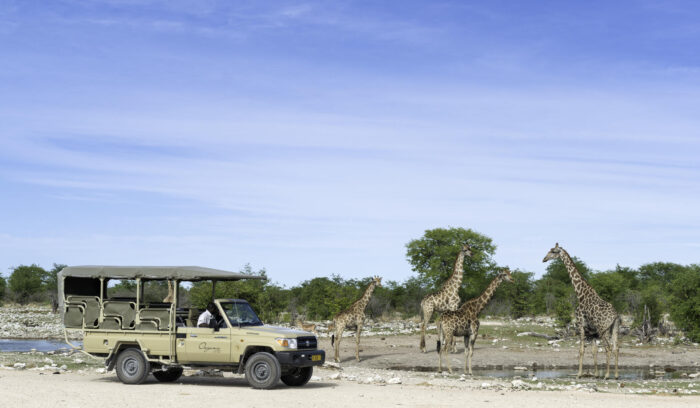 Onguma Camp Kala lodge in Etosha, Namibia