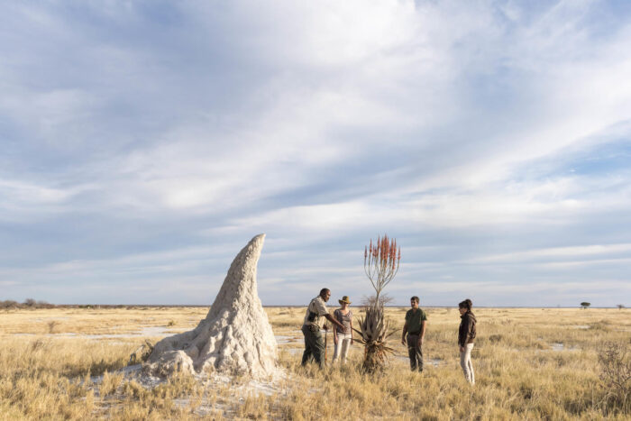 Onguma Camp Kala lodge in Etosha, Namibia