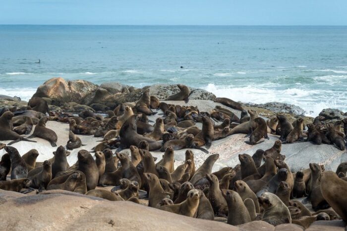 Hoanib Skeleton Coast Camp in Namibia in Luxury Safaris Lodge Gallery