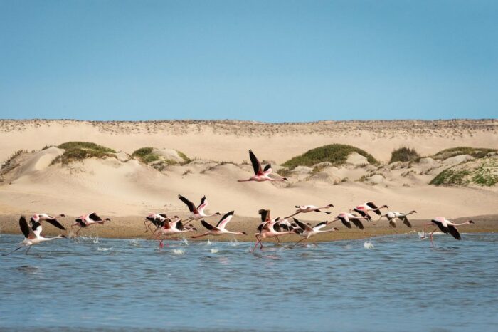 Hoanib Skeleton Coast Camp in Namibia in Luxury Safaris Lodge Gallery