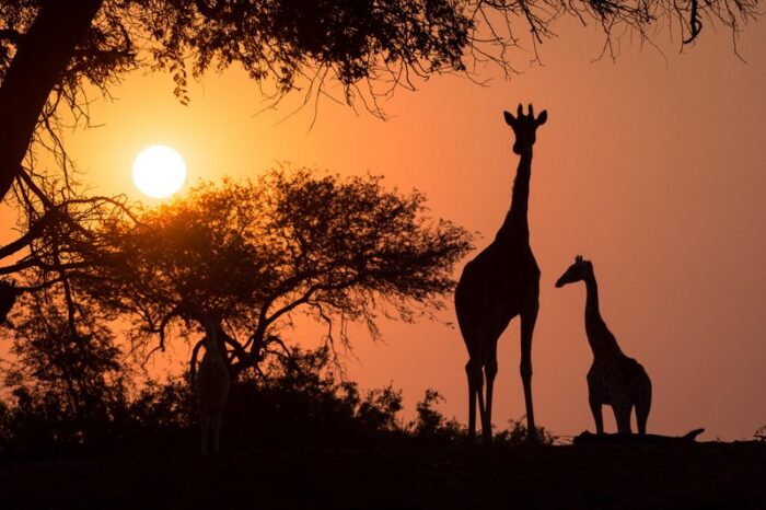 Hoanib Skeleton Coast Camp in Namibia in Luxury Safaris Lodge Gallery