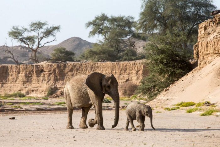 Hoanib Skeleton Coast Camp in Namibia in Luxury Safaris Lodge Gallery