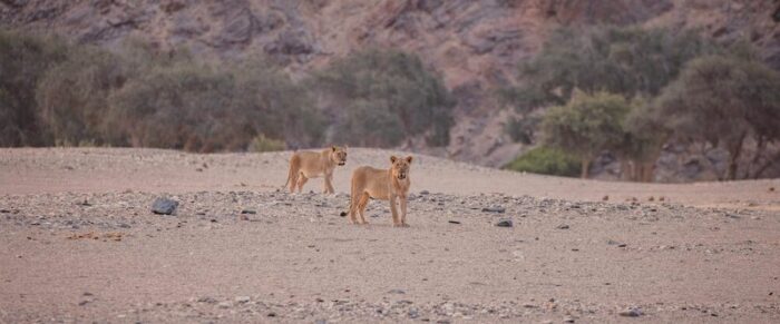 Hoanib Valley Camp in Hoanib Valley in Namibia - For the Website gallery