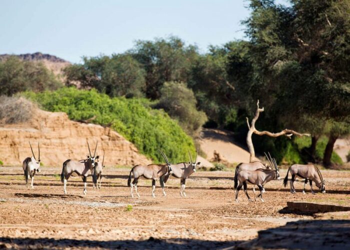 Hoanib Valley Camp in Hoanib Valley in Namibia - For the Website gallery