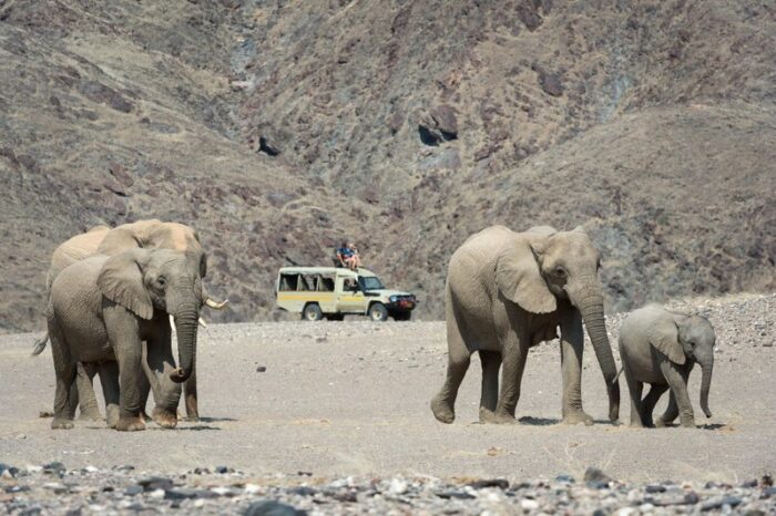 Hoanib Skeleton Coast Camp in Namibia in Luxury Safaris Lodge Gallery