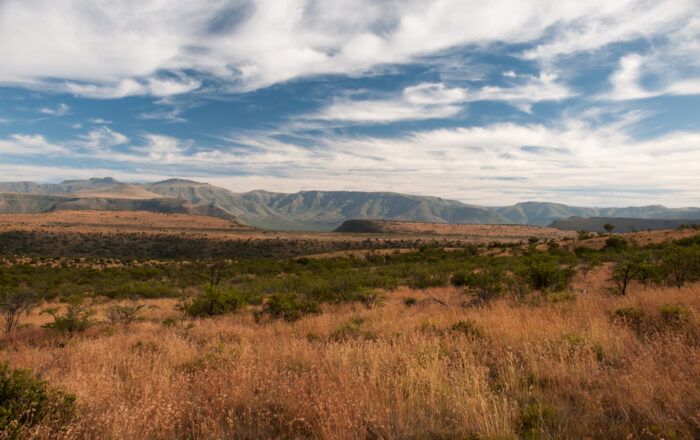 Grasslands in Samara Karoo Lodge in South Africa in Luxury African Safari