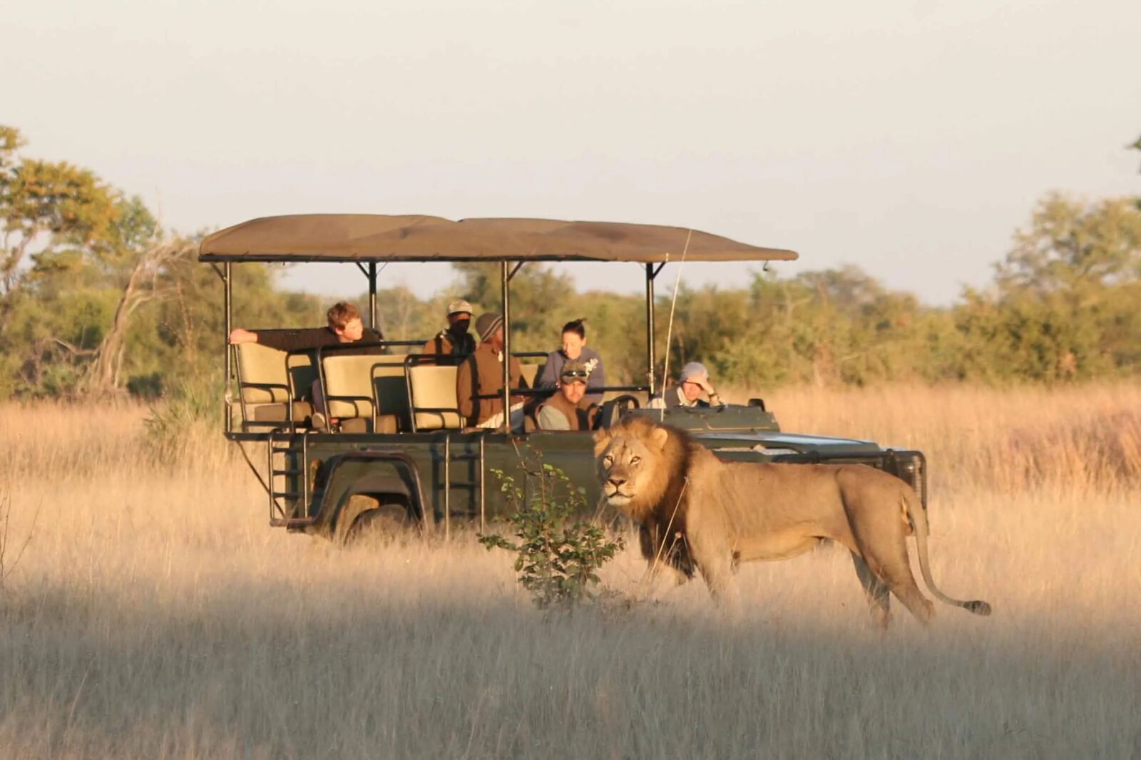 Camp Hwange