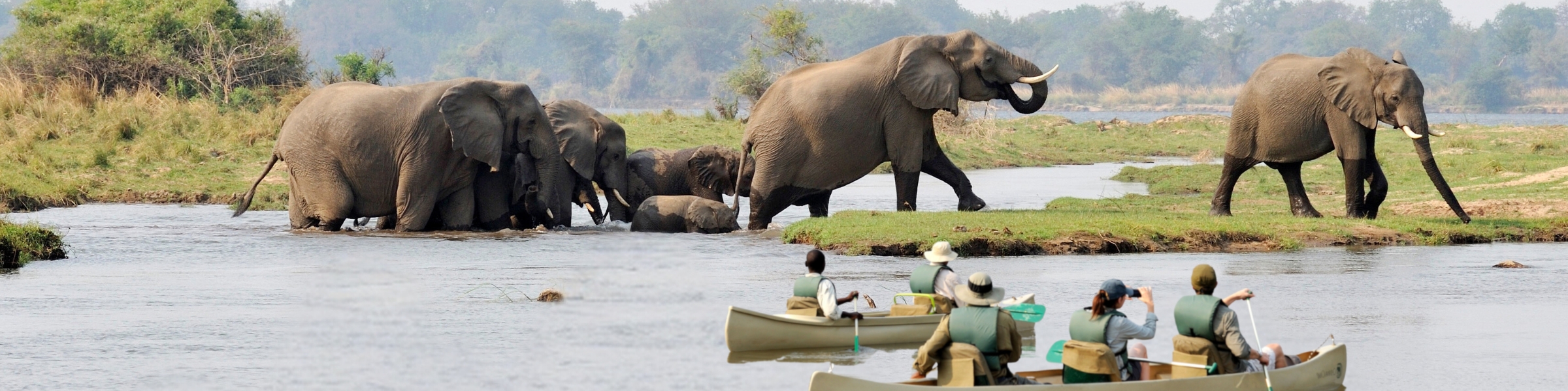 Zambia - Wildlife - by Chiawa Safaris - Taster Itinerary