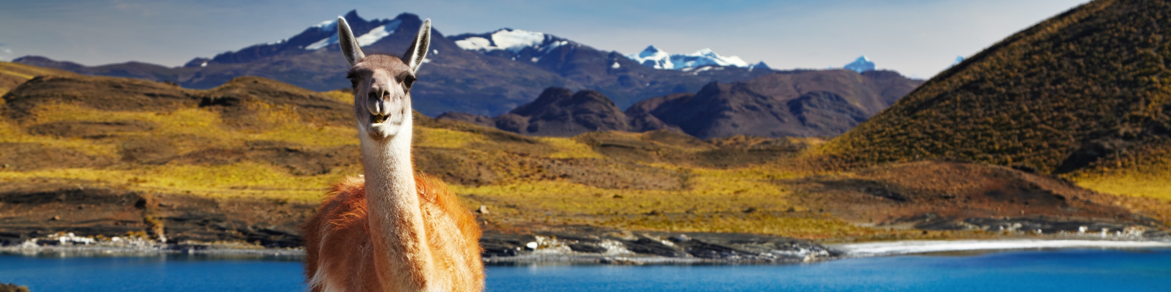 Torres Del Pain in Chile by Dmitry Pichugin (Canva) - Taster Itinerary