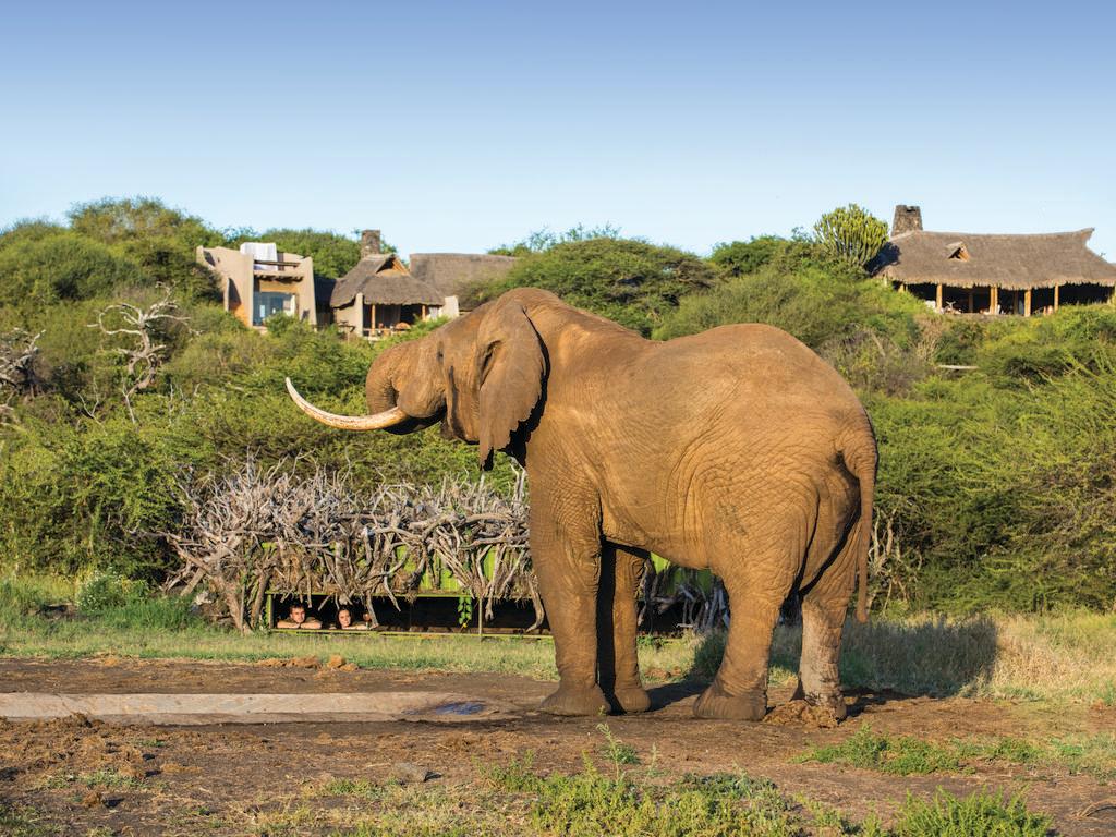 ol Donyo Lodge by Great Plains in Kenya - Website Specials